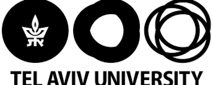 Invitation for summer programming at the University of Tel Aviv