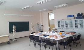 Students of the University of Gjakova have completed their professional practice